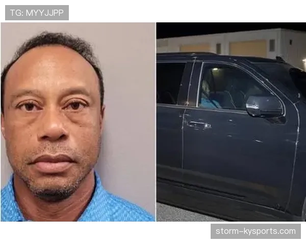 泰格伍兹家里那辆车库,普通人看了可能得哭三天假? 泰格伍兹家里那辆车库,普通人看了可能得哭三天假?